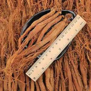 Бесплатный образец 6 лет Panax нарезанный Корея Красный Женьшень Корея мед красный женьшень - Product Image 4