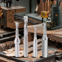 Fraise à spirale haute performance en acier rapide HSS pour le nesting CNC, à 2 dents, pour le bois et le panneau de particules