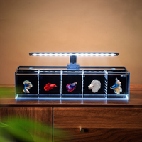 Nouveau modèle d'aquarium en verre ultra-blanc multi-compartiments avec filtre arrière isolant pour la culture de petits poissons de combat dans le salon