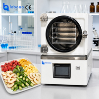 Mini-déshydrateur sous vide de laboratoire LABOAO avec pompe à vide intégrée