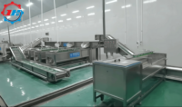 Usine de fabrication de frites de qualité supérieure personnalisable 250-3500 kg/H Solution de ligne de production complète