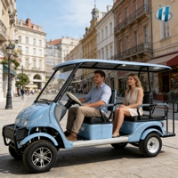 Holladay 1500W 6 places, Quad électrique 4 roues avec toit, volant, pare-chocs avant, véhicule de transport électrique, voiturette de golf de plage