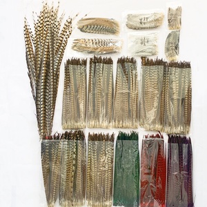 Plumas de faisán Lady Amherst para carnavales - Product Image 2
