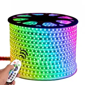 220V 110V 60 ชิป/เมตรเทปยืดหยุ่นเปลี่ยนสีไฟ LED Strip LED 5050 RGB สมาร์ท LED Strip/Led Strip