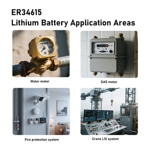Gmcell tiểu Pin Li-SOCL2 er26500 <span class=keywords><strong>er14505</strong></span> D di động <span class=keywords><strong>3.6V</strong></span> 19000mAh er34615 pin <span class=keywords><strong>lithium</strong></span> - Product Image 5