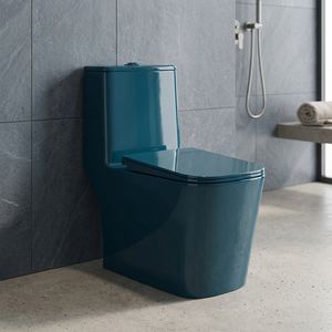 Série Décorative – WC monobloc en céramique indienne allongé avec chasse d'eau et siège bidet intégré - Product Image 3