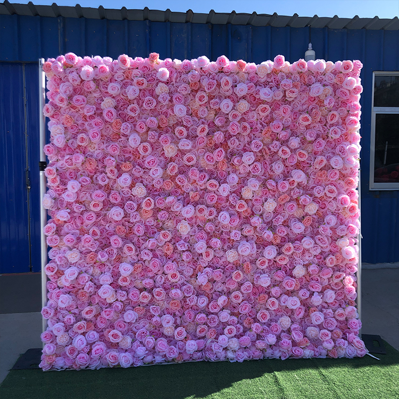 rosa 2