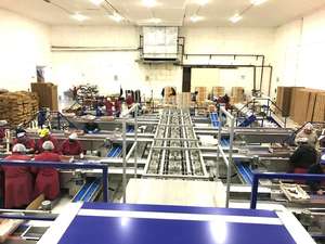 Unitec 4 lignes pour les cerises en Italie Ligne de classement de fruits d'occasion de grande taille Machine multifonctionnelle entièrement automatique - Product Image 2