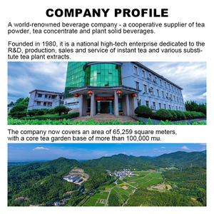 ถุงชาดำผลไม้ปรุงแต่งมีบริการปรับแต่ง - Product Image 5