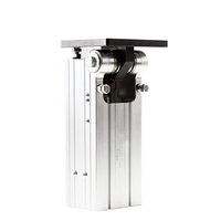 DHR2C-32M40 Mini-cylindre rotatif en aluminium ultra-léger, actionneur à bascule à positionnement latéral, accessoire pour bras robotique, standard
