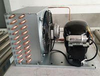 Compresseur de réfrigération 110v 60hz 1/2 hp 1hp, condenseur à air refroidi en cuivre, unité de condensation, serpentin d'évaporateur, pièces de réfrigérateur et de congélateur