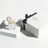 Diffuseur d'ambiance solide parfumé aux fleurs en porcelaine fait main personnalisé, 50 ml, bouteille en verre, écologique, parfum d'intérieur