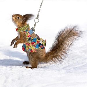 Conjunto de Arnés y Correa Ajustable con Diseño Floral para Mascotas Pequeñas, Correa de Tracción para Hurones, Chinchillas Enanas, Cobayas y Ratas Ornamentales - Product Image 2