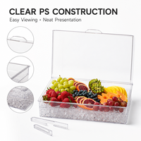 Hot Sale Transparent PS Plastic Chilled Fruit Platter With Flip Lid for Backyard Events BBQ Buffet Food Serving