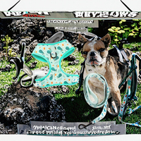 Fournitures pour animaux de compagnie, harnais et laisse pour chien en polyester rembourré avec décoration en écharpe, design mignon, personnalisé