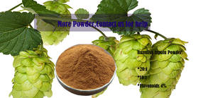 水溶性20:1フラボノイド4% ホップ花エキスHumulus Lupulusパウダー - Product Image 6