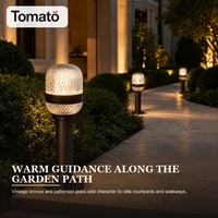 Lampadaire LED de jardin étanche IP65, motif vintage, verre, lampe de chemin extérieure pour la décoration paysagère de villa