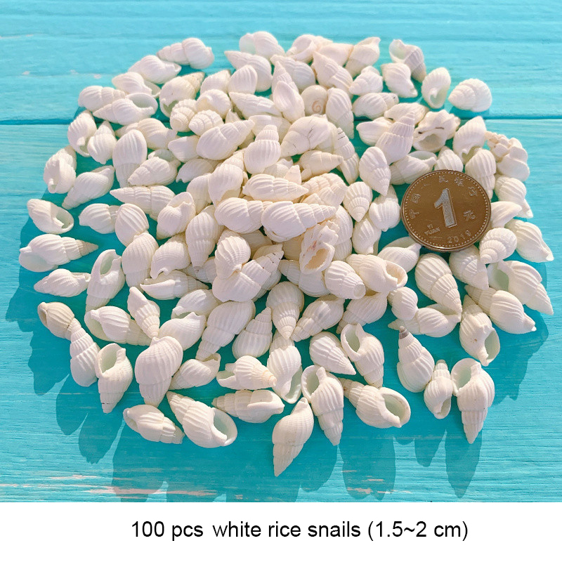 260 piezas 1-1,5 cm