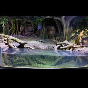 Récif artificiel en acrylique résistant aux chocs pour <span class=keywords><strong>l</strong></span>'aménagement paysager des aquariums - Product Image 5