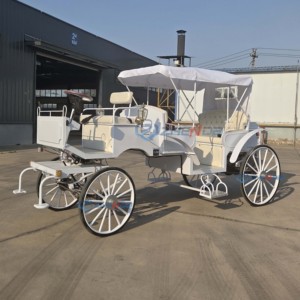 Chariot de Mariage Élégant pour Visites Touristiques, Type Cendrillon – Personnalisez Votre Balade avec des Caractéristiques Uniques et un Confort Optimal - Product Image 1