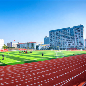 Gránulos de caucho EPDM antideslizantes, resistentes al envejecimiento, ecológicos, instalación en húmedo sin juntas, para jardines de infancia, canchas deportivas multiusos. - Product Image 6