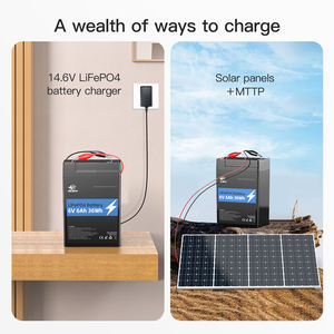 Paquete de batería recargable de fosfato de hierro y litio de plomo ácido de repuesto Lifepo4 <span class=keywords><strong>6V</strong></span> 6,4 V 6ah - Product Image 5