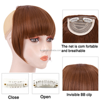 AliLeader Clip in Bangs Fringe Synthetic Fake Hair Bang Clip on Bangs with Temples for Black Women