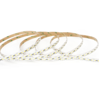 Bande LED DC48V à longue autonomie, 120 LED/m, PCB 10mm, 8W/m, couleur blanche, série à tension constante, max. 30m pour une seule installation, bande SMD2835