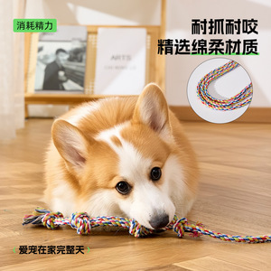 Nuevo juguete para perros, juguete interactivo para perros, palo de entrenamiento para mascotas, artículo popular de exportación. - Product Image 4