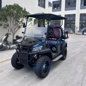 Carrito de golf eléctrico de lujo personalizado al por mayor, estilo Drive Style, para turismo, con batería de litio, transporte especial - Product Image 3