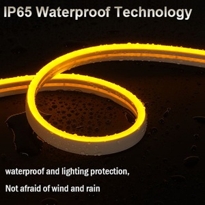 Kỹ thuật dự án chiếu sáng 12V 24V không thấm nước ma thuật dải màu rgbic kỹ thuật số lập trình <span class=keywords><strong>RGB</strong></span> <span class=keywords><strong>LED</strong></span> Flex neon ánh sáng dây thừng - Product Image 3