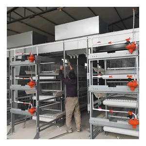 Automatic Poultry Chicken Manure Removal And Cleaning Machine For Manure Cleaning Machine