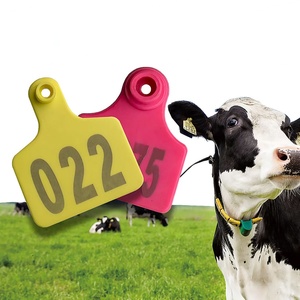 Étiquette d'oreille RFID UHF 840-960 MHz pour l'identification des animaux, gestion du bétail et élevage, pour l'étiquetage des animaux - Product Image 6