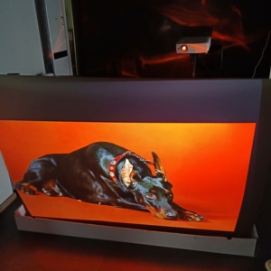 Film de Projection arrière Ultra <span class=keywords><strong>court</strong></span> - Product Image 5