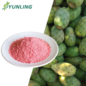 Poudre <span class=keywords><strong>de</strong></span> fruit <span class=keywords><strong>de</strong></span> <span class=keywords><strong>cactus</strong></span> naturelle à 99 %, poudre <span class=keywords><strong>de</strong></span> <span class=keywords><strong>jus</strong></span> <span class=keywords><strong>de</strong></span> <span class=keywords><strong>cactus</strong></span>, emballage personnalisable, produits finis - Product Image 1