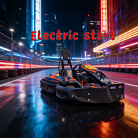 Go Kart a Gasolina para Parque de Atracciones, Karts de Carreras para Adultos con Freno de Disco Trasero