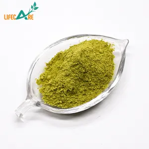 Polvo de té verde Matcha orgánico de alta calidad Grado alimenticio 100% Polvo de té Matcha puro