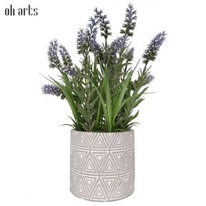 Flores Secas Naturales Decorativas en Oferta, Flores de Lavanda Secas para Decoración de Interiores y Exteriores para Bodas - Product Image 1