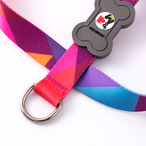 Nuovo Design Personalizzato Set Estivo per Addestramento in Nylon Resistente Guinzaglio e Collari per Cani con Etichetta Privata Prodotti per Animali Domestici Morbidi e alla Moda - Product Image 5