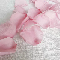 180 PCS Kelopak Bunga Mawar Merah Asli Kering Konfeti Pernikahan 50g Diawetkan Beku Karet Dekorasi Malam Romantis Lamaran Pernikahan Centerpiece