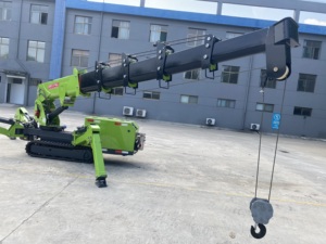 מיני בנייה זחילה מנוף 3 טון 5 טון 8 טון 10 טון עכביש למכירה - Product Image 3