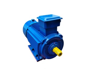 Motor de Accionamiento LSPMSM Magnético Refrigerado por Agua de 22kw 55kw 90kw para Barcos y Embarcaciones Marinas, con Controlador - Product Image 5