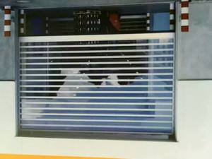 Puerta de persiana enrollable de aleación de aluminio para exteriores al por mayor, hoja de policarbonato transparente, puerta de persiana enrollable, puerta de garaje - Product Image 5