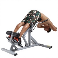 Chaise romaine commerciale pour hyperextension, banc réglable à 45 degrés, robuste, en acier, pour l'entraînement de la force musculaire