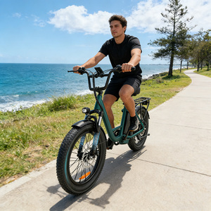 Vélo de ville électrique à pneus larges de 20 pouces, <span class=keywords><strong>moteur</strong></span> arrière, 48V 13Ah 250W, 7 vitesses, écran LCD, service OEM ODM, expédié de Chine - Product Image 1