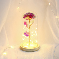 Vente chaude Unique Spark Rose Romantique Galaxy Fleurs Rose Avec Lumière LED en Verre Dôme Saint Valentin Fête Des Mères Cadeau