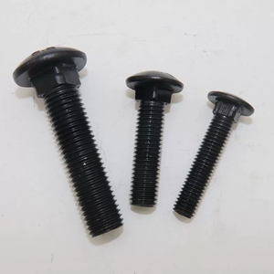 黑色304不锈钢M3 M4 M5 M6 M8 M10 M12 3/8车架螺栓桁架圆头方颈车架螺钉教练螺栓 - Product Image 2