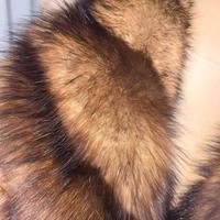 Manteau en fourrure de vison brun foncé haute couture avec col en fourrure de sable opulente, silhouette longue pour un luxe ultime