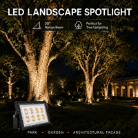 Projecteur LED paysager 50W 100W IP65 étanche à faisceau étroit de 30 degrés pour éclairage d'arbre extérieur et éclairage architectural avec RGB