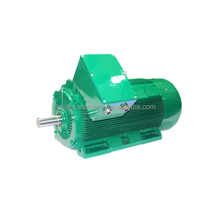 มอเตอร์สามเฟสแบบอะซิงโครนัส มาตรฐาน 1KV-13KV มอเตอร์เหนี่ยวนำกระแสสลับ - Product Image 6